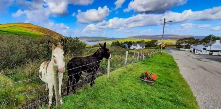 Cozy & Remote Hideaway Gintys Cottage Ross Port Exterior foto