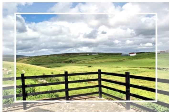 Cozy & Remote Hideaway Gintys Cottage Ross Port Exterior foto